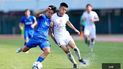 五星巅峰状态解析pa真人价格：自信之作，不盲目推荐